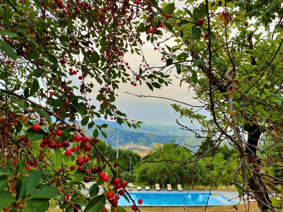Farm stay Borgo Biaia Camporgiano