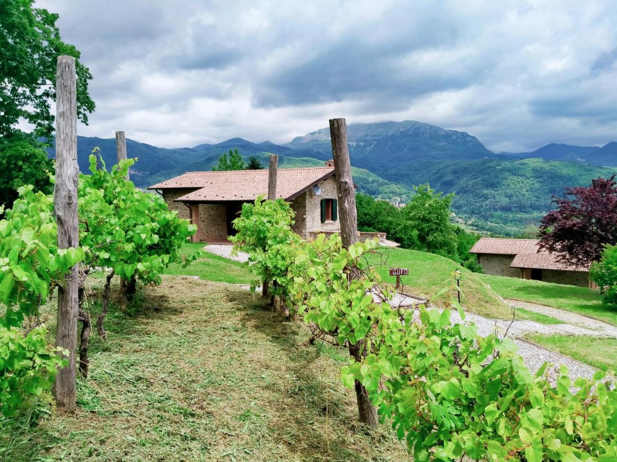 Bauernhof Borgo Biaia